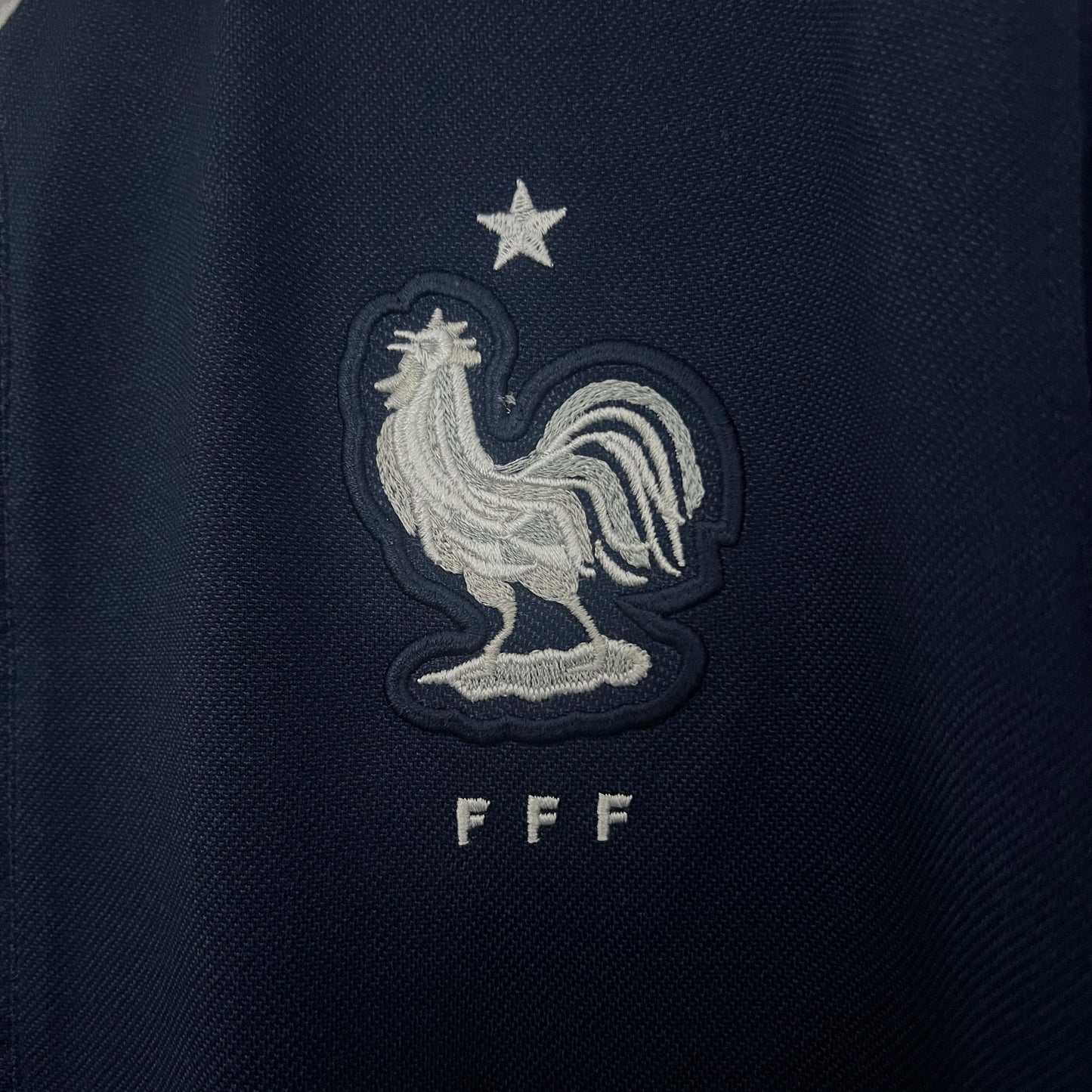 Francia Local Retro 2014 Versión Fan