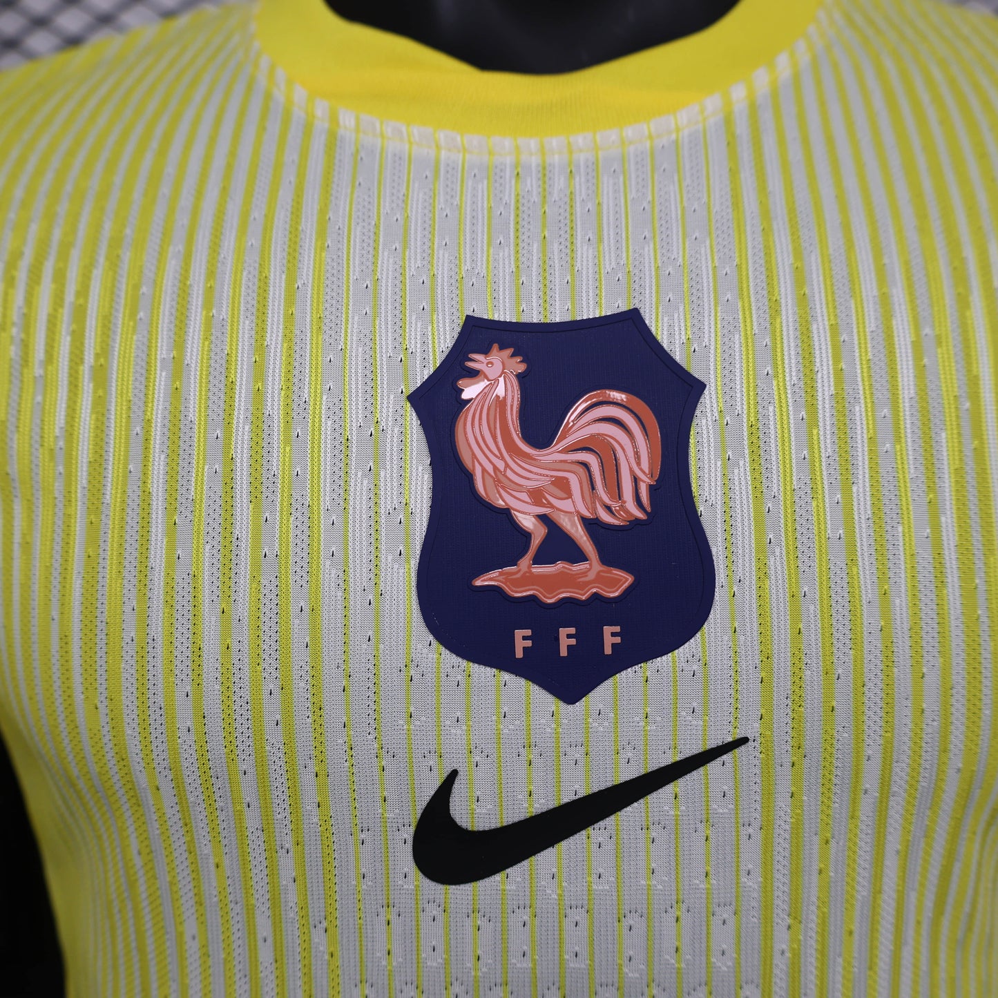 Francia Portero Leaked 2025/26 Versión Jugador