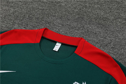 Liverpool Entrenamiento Kit Adulto Verde Rojo