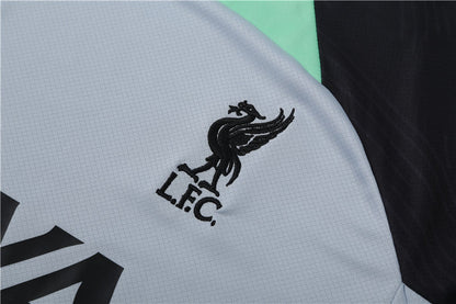 Liverpool Entrenamiento Kit Adulto Gris Verde 2023/24