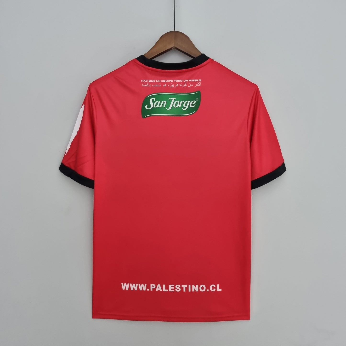 Palestino Tercera 2023 Versión Fan