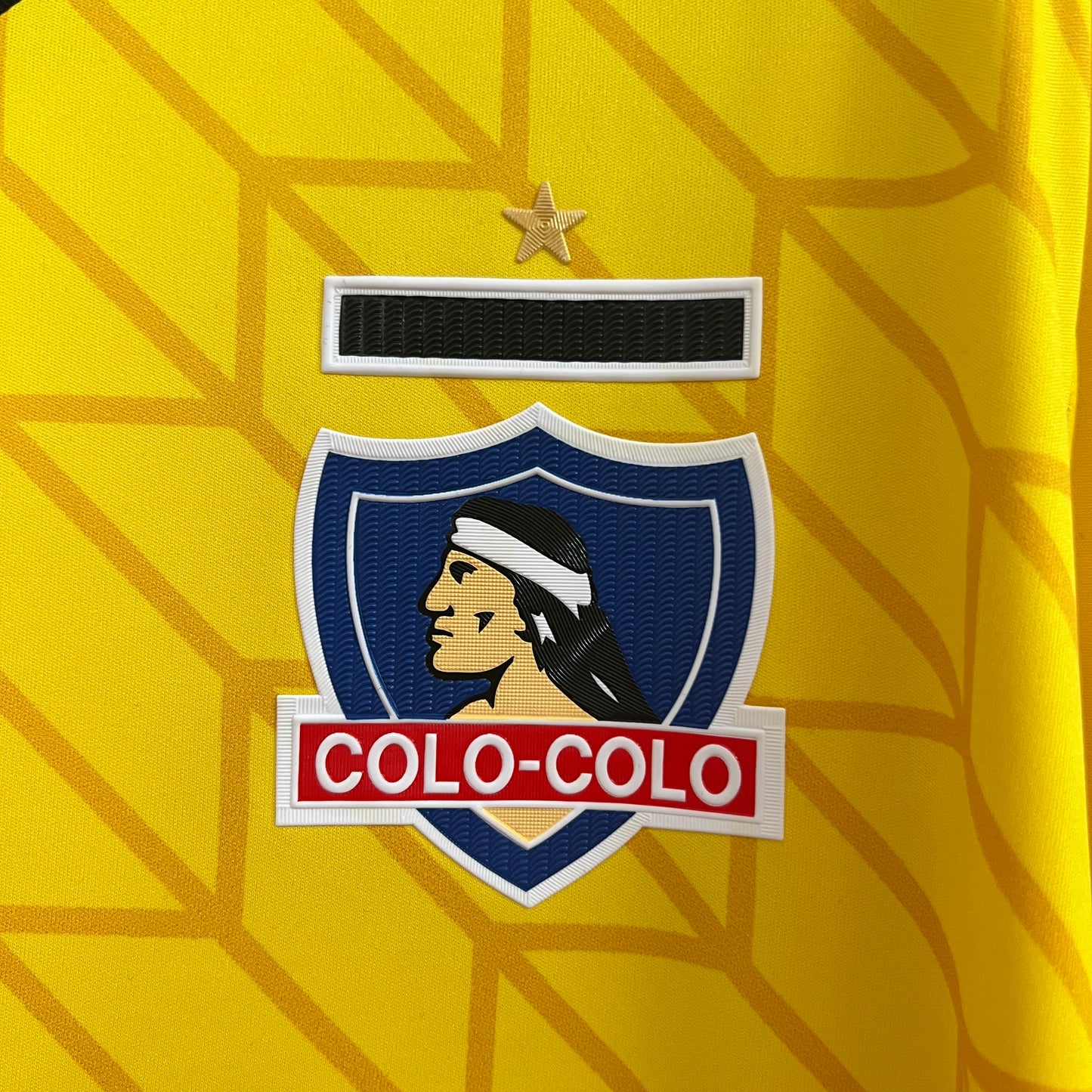 Colo Colo Quinta 2024 Versión Fan