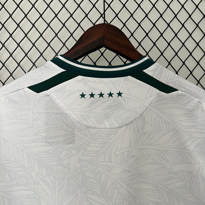 Talla M - Santiago Wanderers Visita 2024 Versión Fan