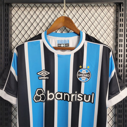 Gremio Local 2023 Versión Fan