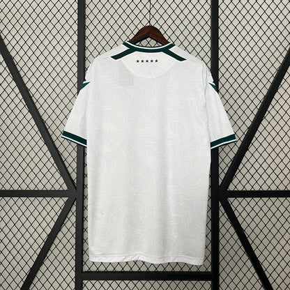 Talla M - Santiago Wanderers Visita 2024 Versión Fan