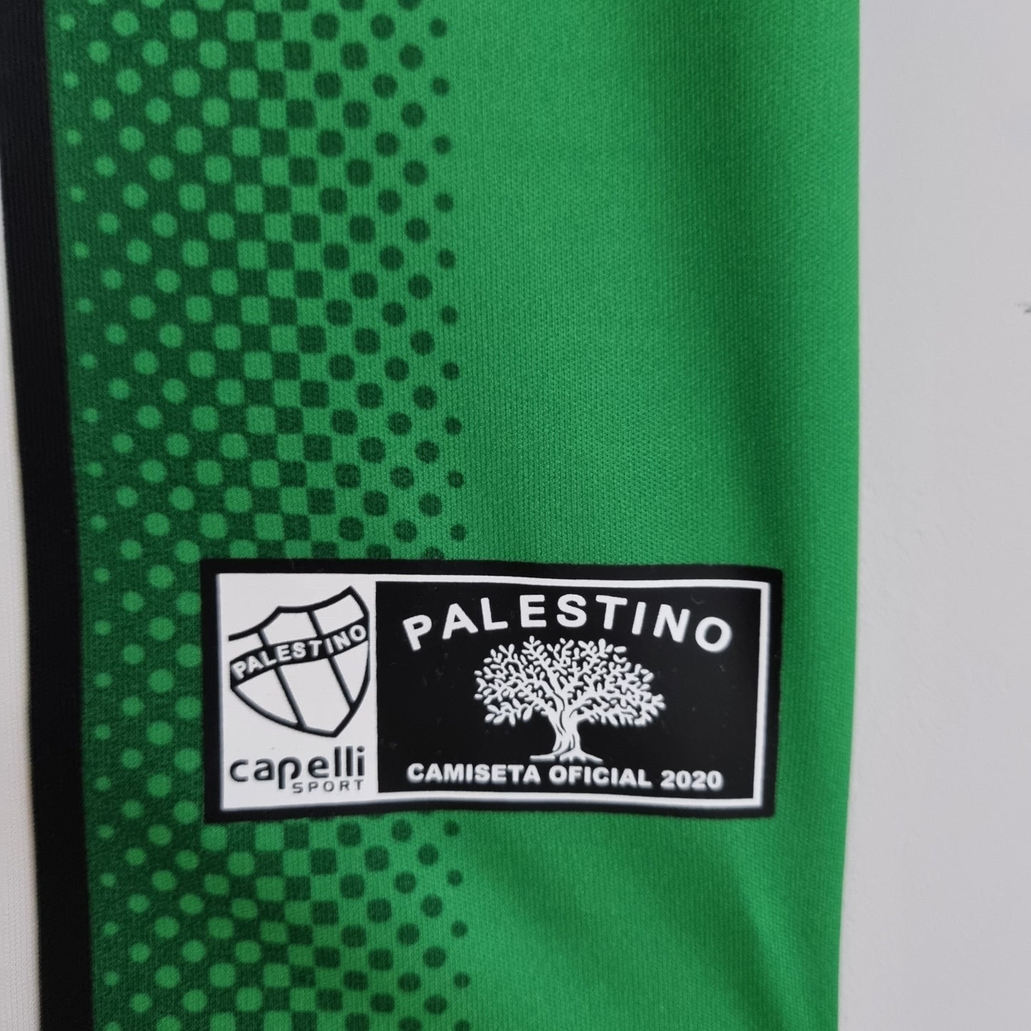 Palestino Local 2023 Versión Fan