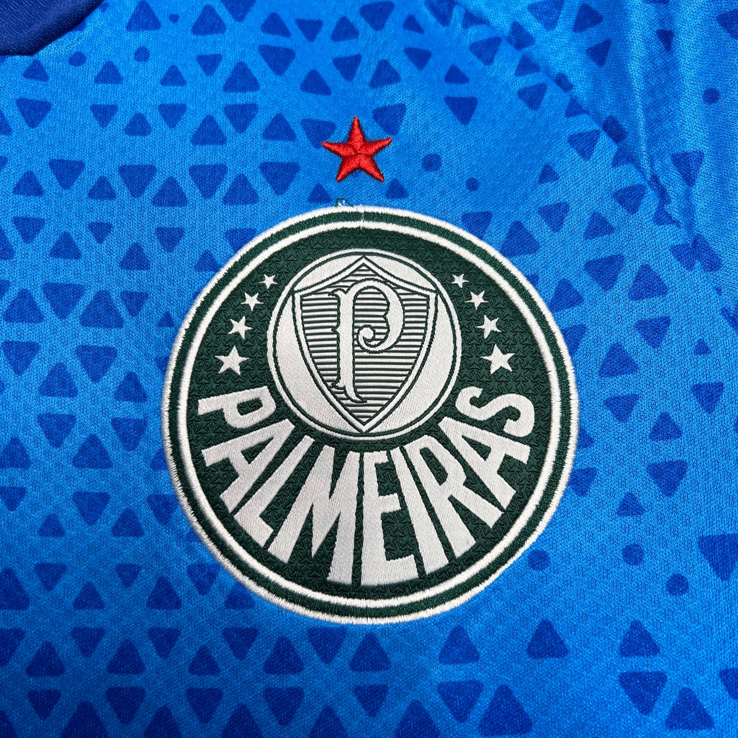 Palmeiras Portero Tercera 2024/25 Versión Fan