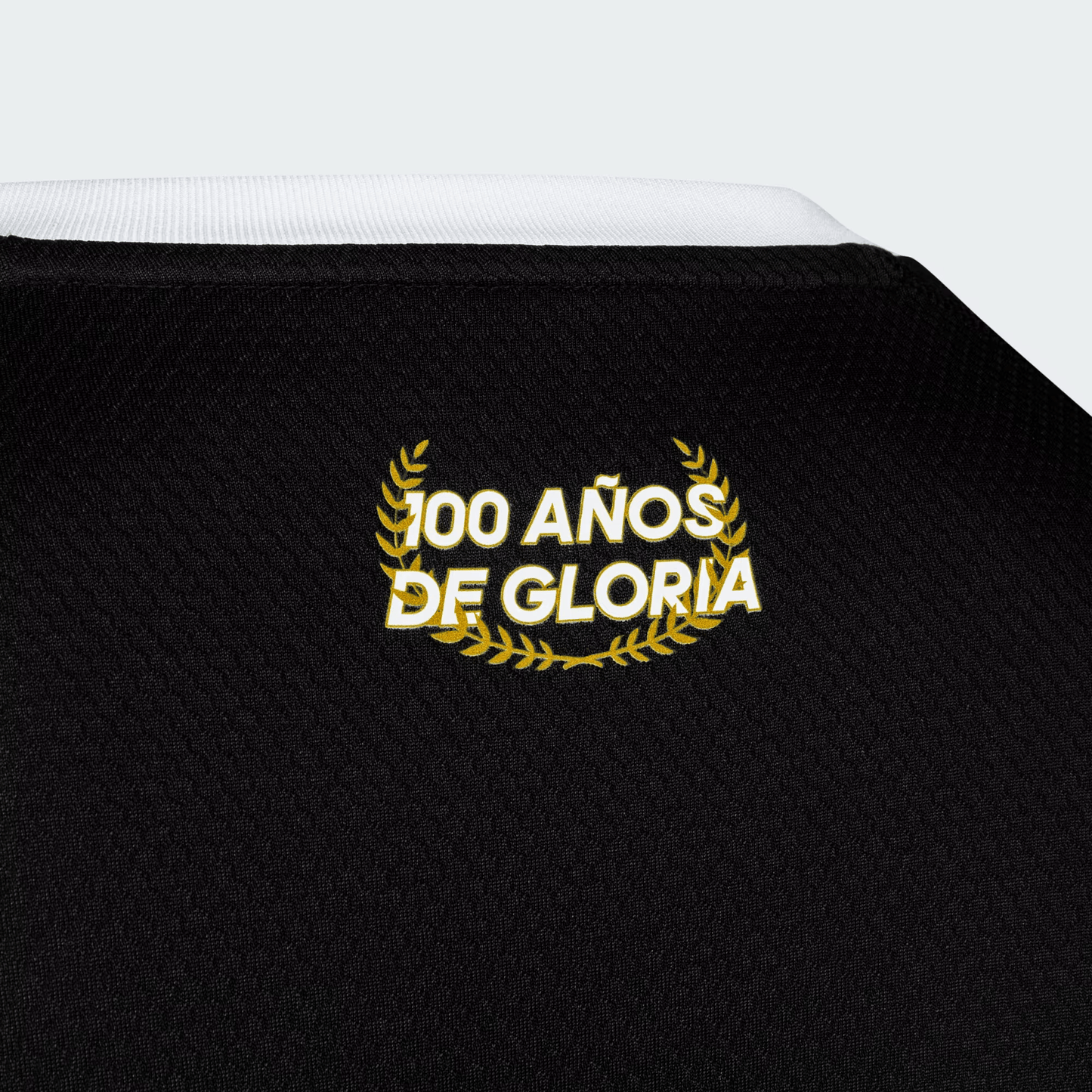 Colo Colo Centenario Portero 2025 Versión Fan